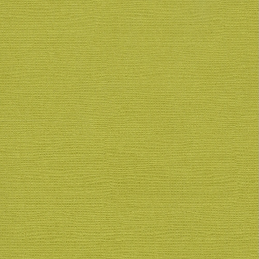 Florence Cardstock Mustard