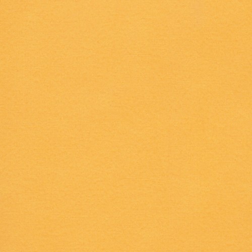 Florence Cardstock Grapefruit