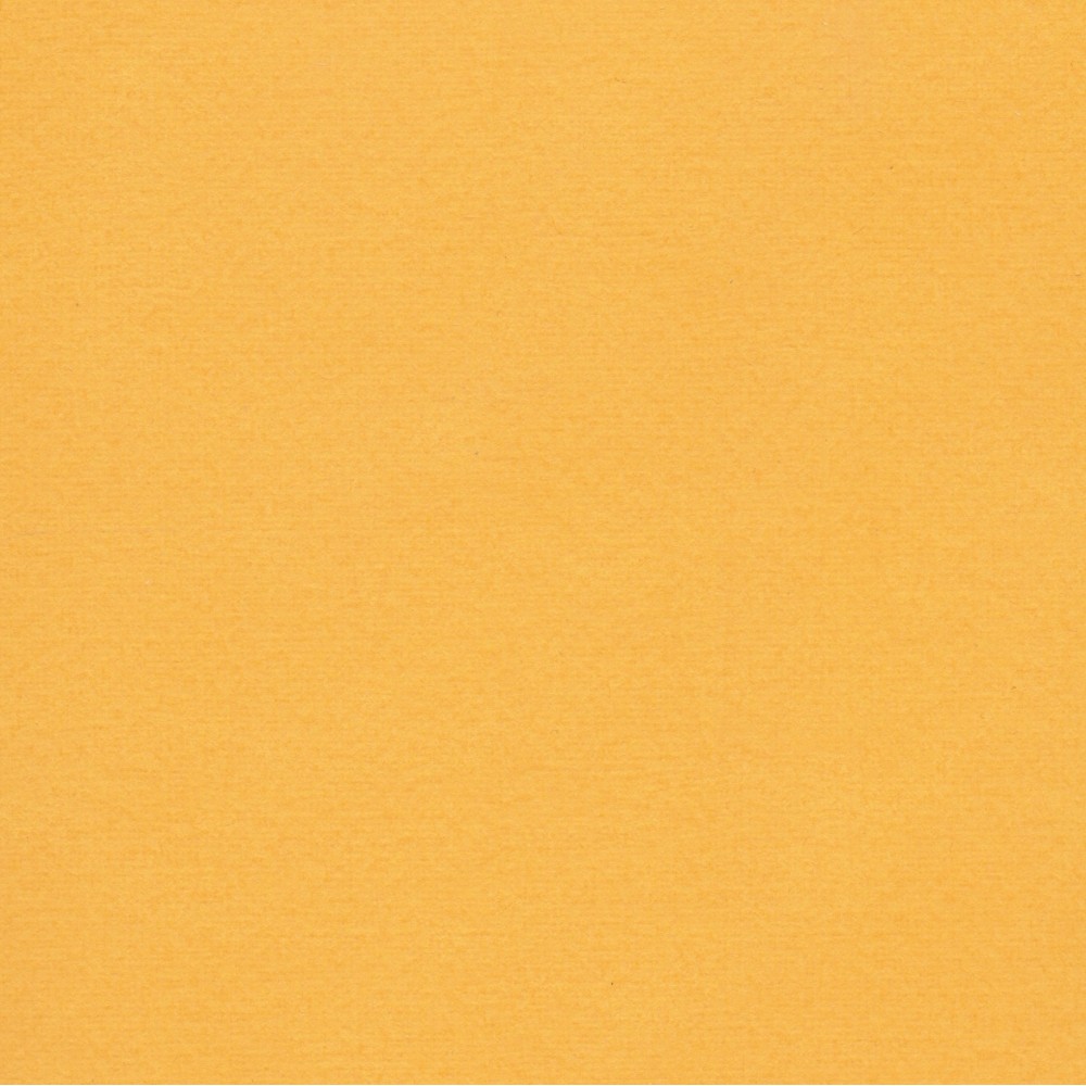 Florence Cardstock Grapefruit