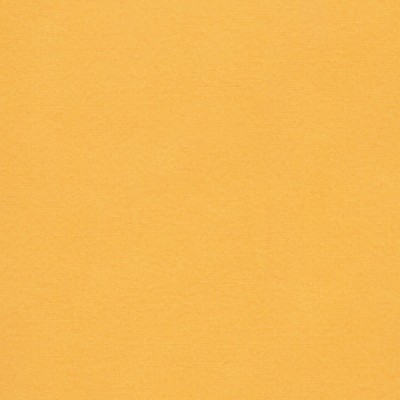 Florence Cardstock Grapefruit