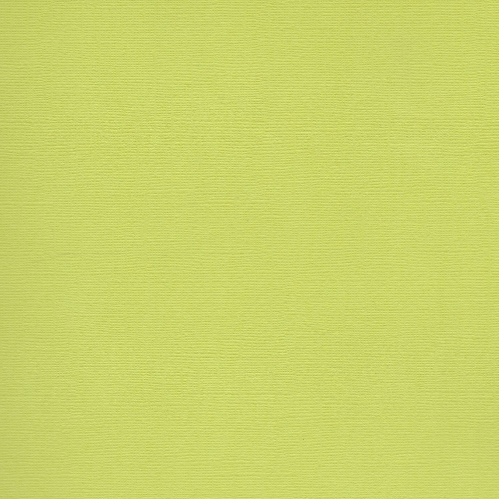 Florence Cardstock Pistachio