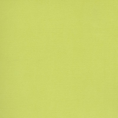 Florence Cardstock Pistachio