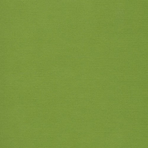 Florence Cardstock Fern