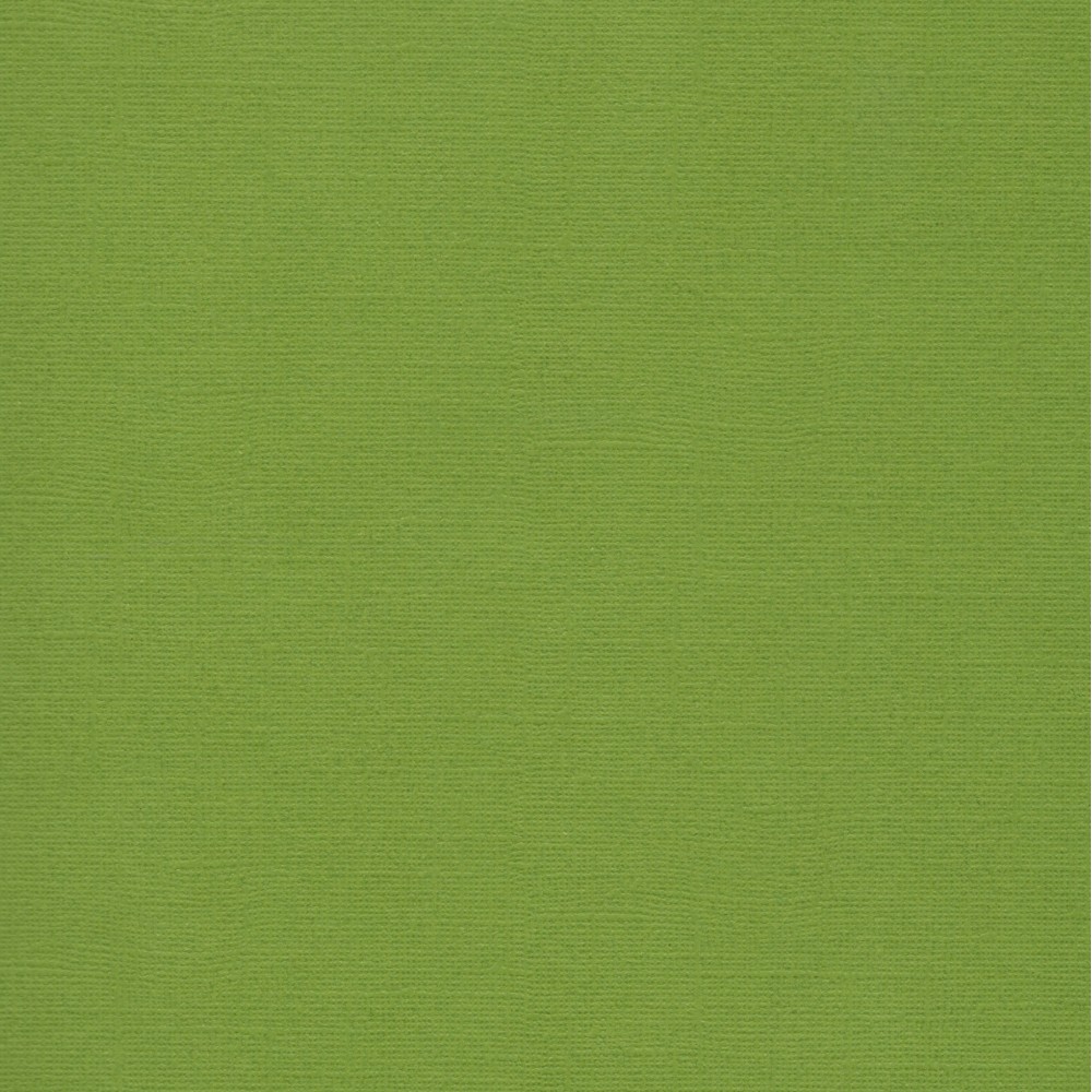 Florence Cardstock Fern