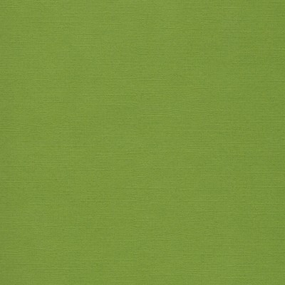 Florence Cardstock Fern