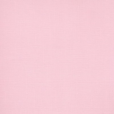 Florence Cardstock Rose