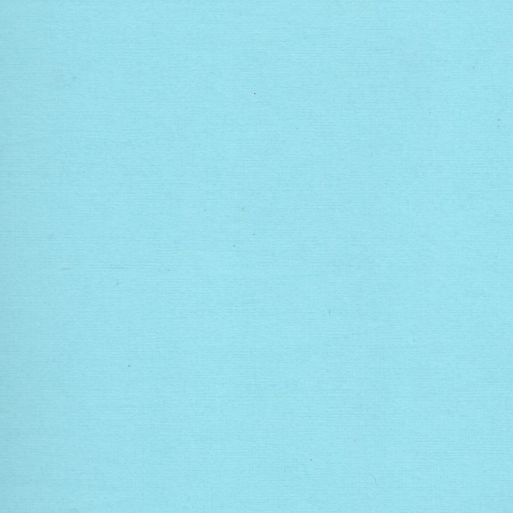 Florence Cardstock Ocean