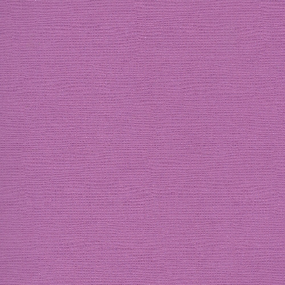 Florence Cardstock Plum