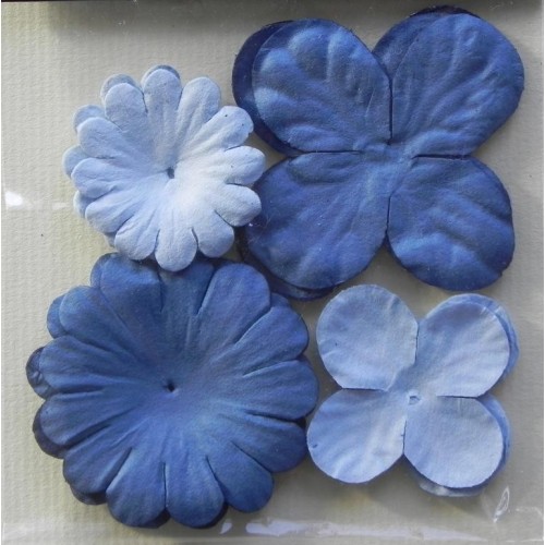 Lot 40 fleurs Bleu et Ciel