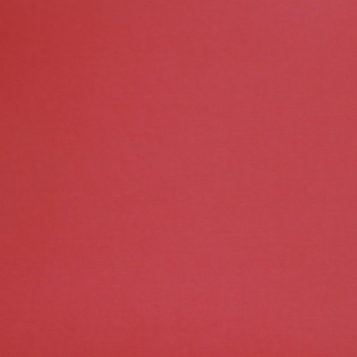 Bazzill Red